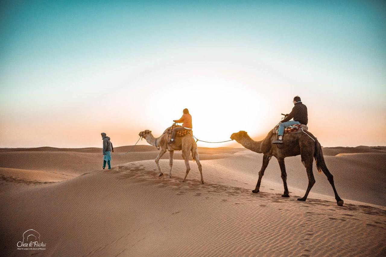 Aladdin Desert Camp - Mhamid Erg Chigaga Escape Lodge